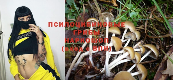 меф Арсеньев